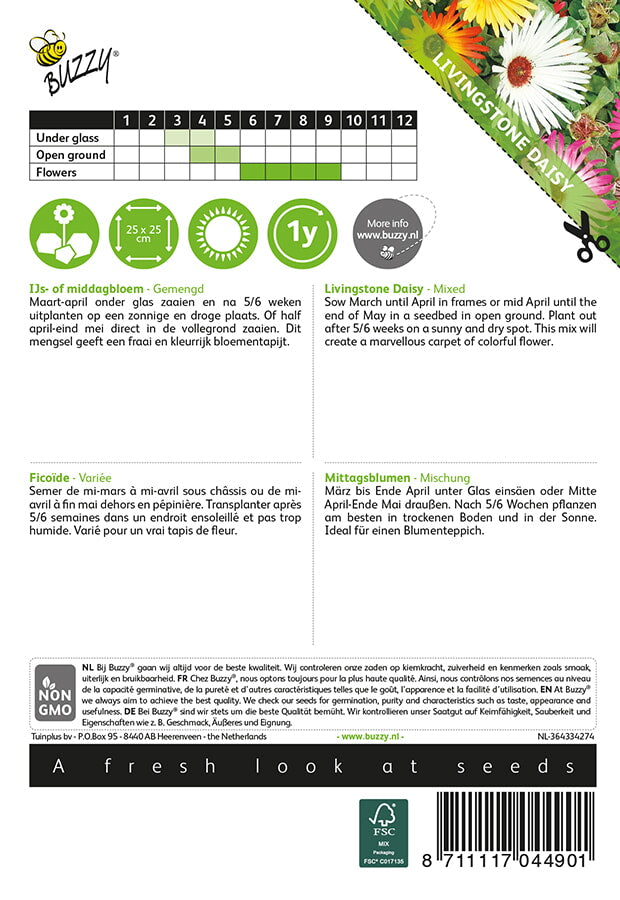 Kesäpäivänkukka Livingstone Daisy siemenpussi takaa kylvöohjeilla