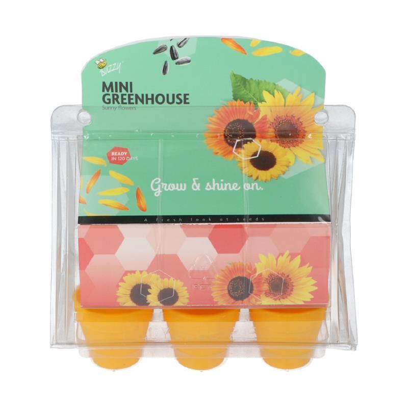 Mini kasvihuone auringonkukille edestä – Buzzy®