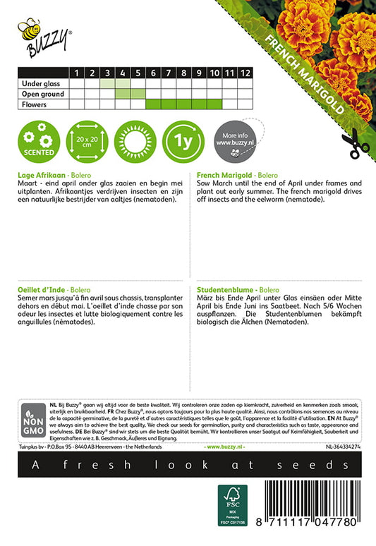 Ryhmäsamettikukka Bolero siemenpussi takaa kylvöohjeilla