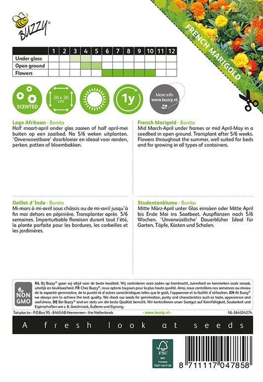 Ryhmäsamettikukka Bonita siemenpussi takaa kylvöohjeilla