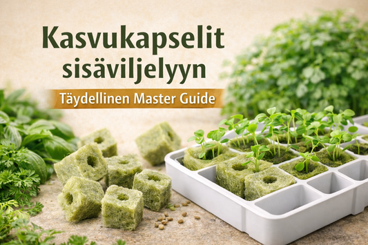 Kasvukapselit sisäviljelyyn – oikea kasvualusta vesiviljelyyn