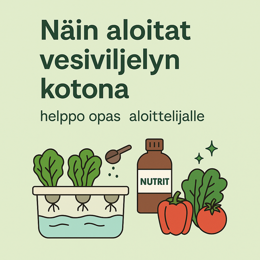Illustrativ bild till en nybörjarguide om hydroponisk odling utan utrustning – örter som växer i vatten