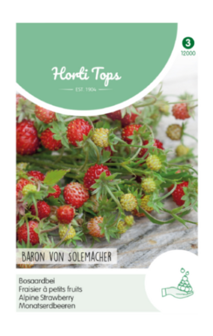 Alppimansikan siemenpussin etupuoli, jossa näkyy punaisia marjoja.