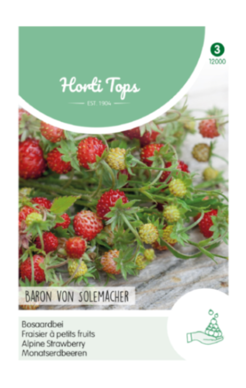 Alppimansikan siemenpussin etupuoli, jossa näkyy punaisia marjoja.