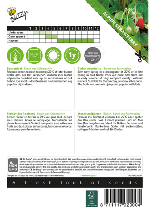 Baron von Solemacher mansikka siemenpussi takapuoli – kylvöohjeet