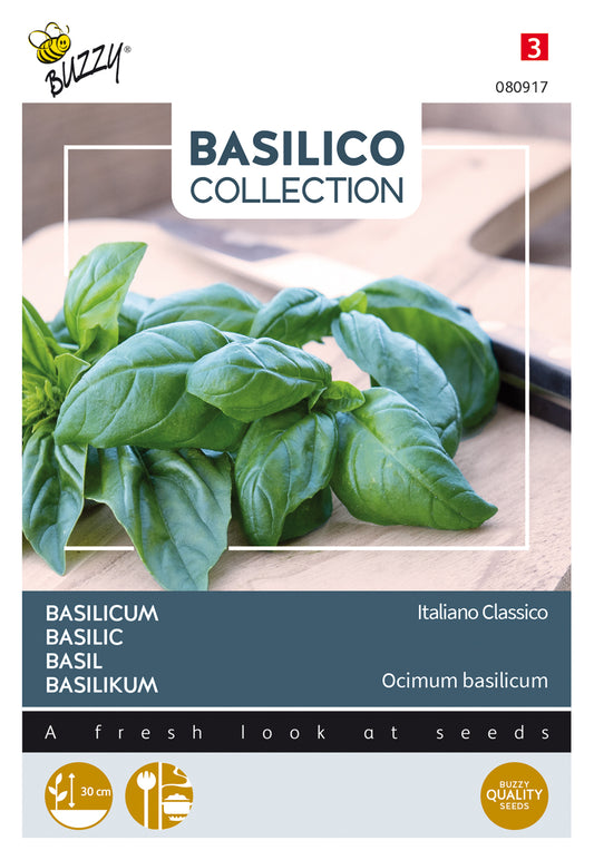 Basilika ‘Italiano Classico’ – Buzzy Seeds -siemenpussin etupuoli basilikan kuvalla