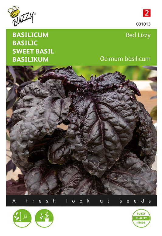 Basilika ‘Red Lizzy’ – Buzzy Seeds -siemenpussin etupuoli punalehtisen basilikan kuvalla