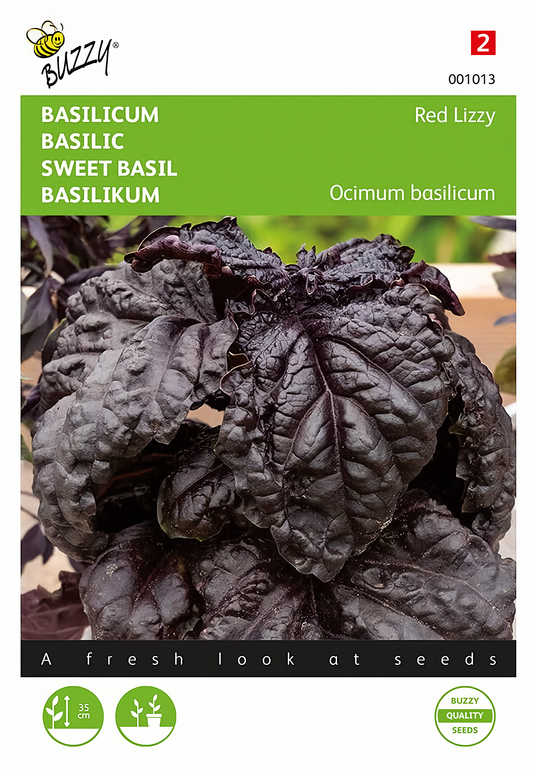 Basilika ‘Red Lizzy’ – Buzzy Seeds -siemenpussin etupuoli punalehtisen basilikan kuvalla