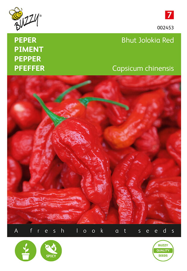 Bhut Jolokia Red -siemenpussin etupuoli, jossa näkyy kirkkaanpunaisia erittäin tulisia chilejä.