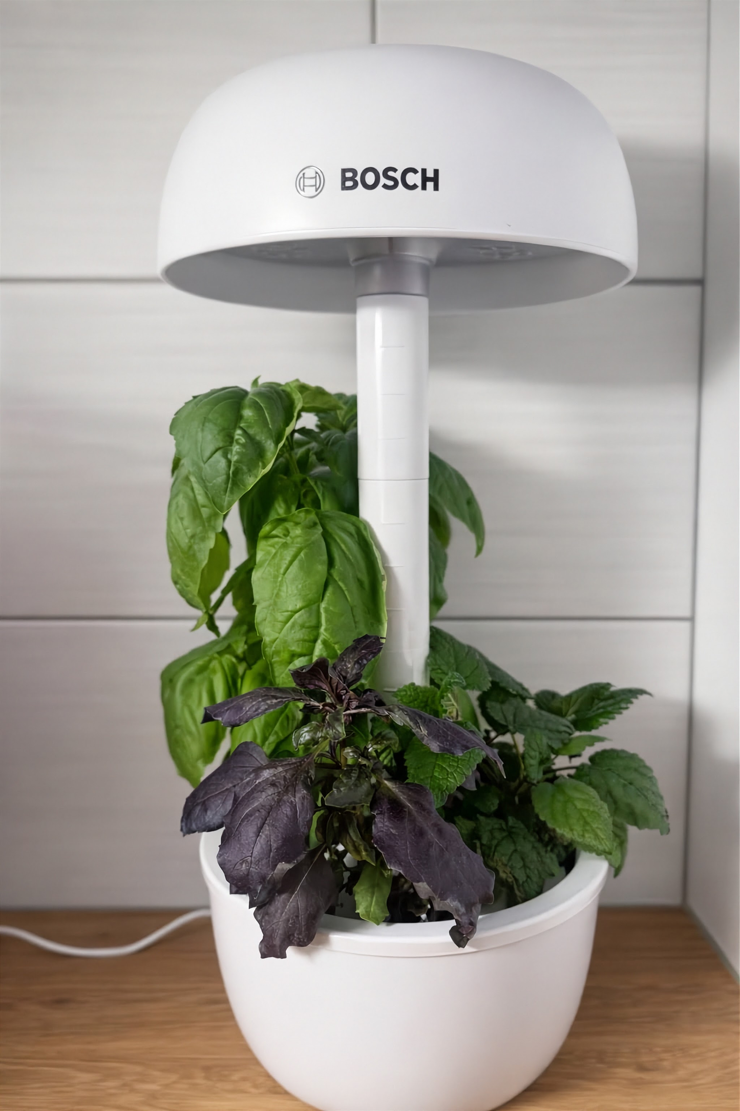 Bosch SmartGrow 3 sisäviljelylaite käytössä – tuoreet yrtit kasvavat kotikeittiössä