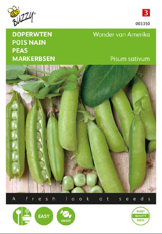 American Wonder herne siemenpussi edestä – Buzzy®