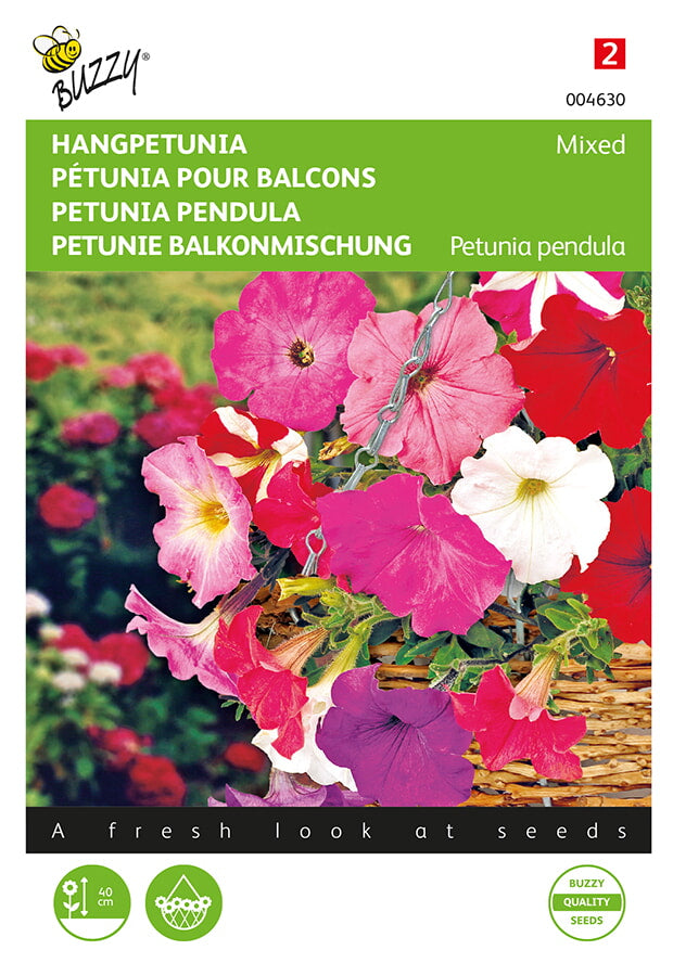 Amppelipetunia Pendula Mixed siemenpussi edestä – Buzzy®