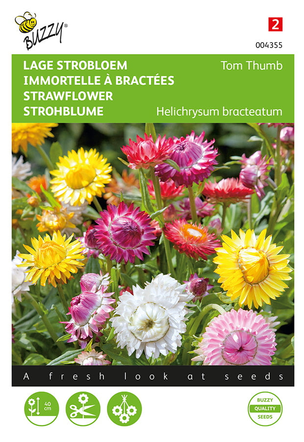 Ikikukka Tom Thumb Mixed siemenpussi edestä – Buzzy®