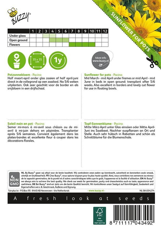 Kääpiöauringonkukka Pacino siemenpussi takaa kylvöohjeilla
