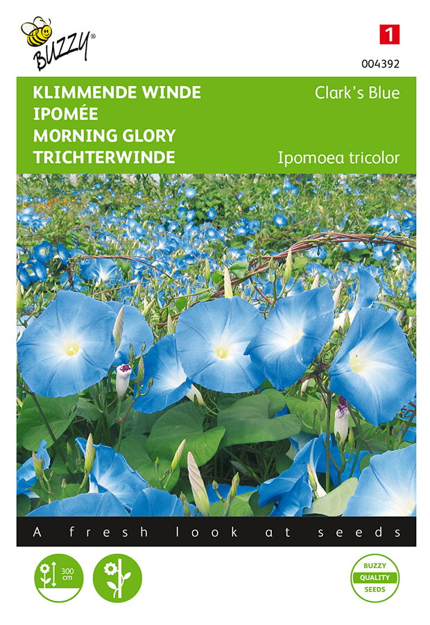 Kirjopäivänsini Clark’s Blue siemenpussi edestä – Buzzy®