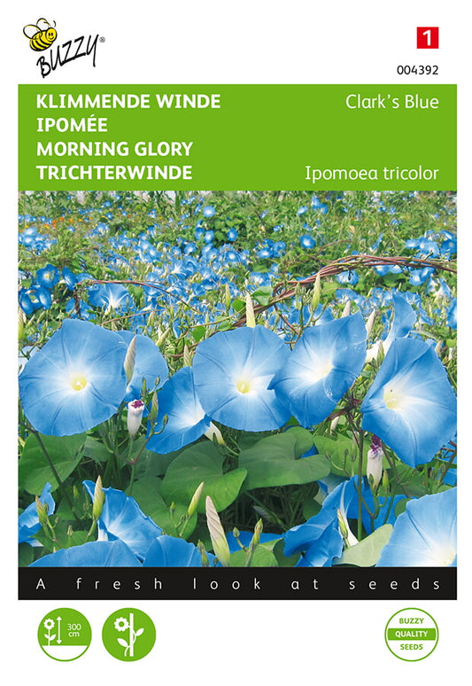 Kirjopäivänsini Clark’s Blue siemenpussi edestä – Buzzy®