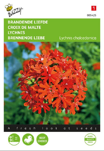 Lychnis Burning Love siemenpussi edestä – Buzzy®