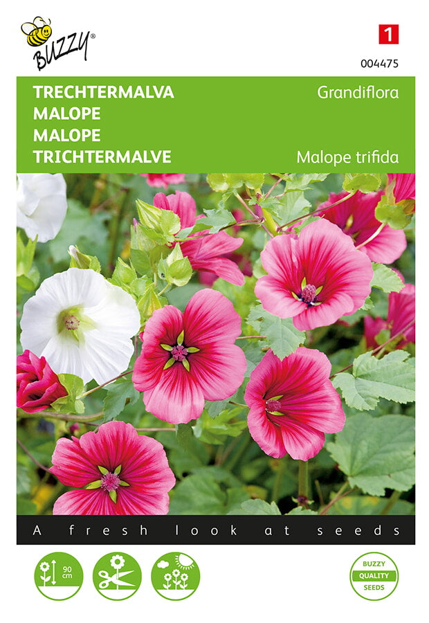 Maloppi Grandiflora Mixed siemenpussi edestä – Buzzy®