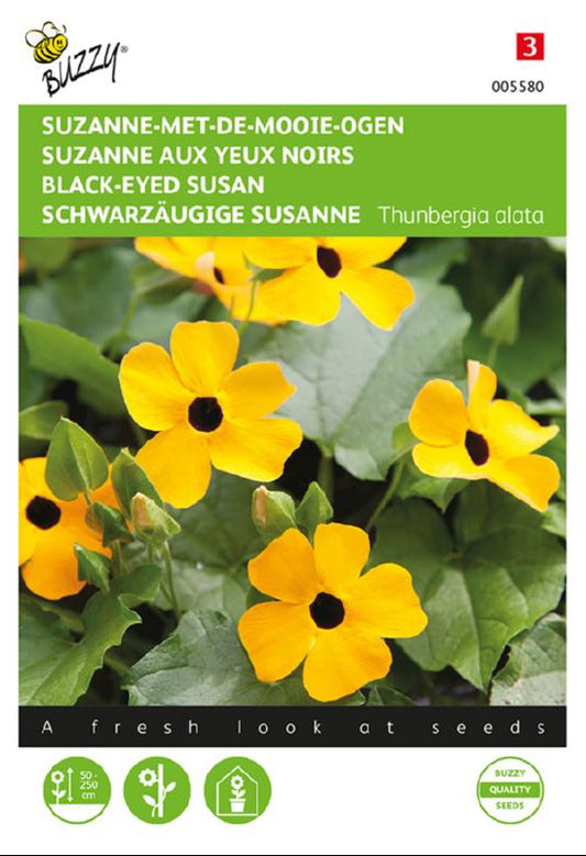 Mustasilmäsusanna siemenpussi edestä – Buzzy®
