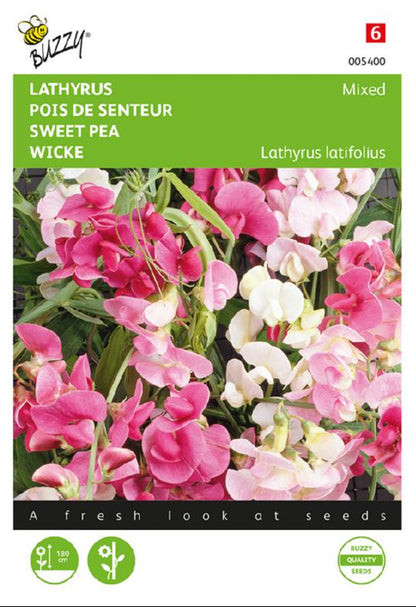 Ruusunätkelmä Everlasting Sweet Pea Mixed siemenpussi edestä – Buzzy®