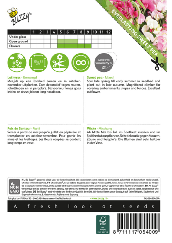 Ruusunätkelmä Everlasting Sweet Pea Mixed siemenpussi takaa kylvöohjeilla