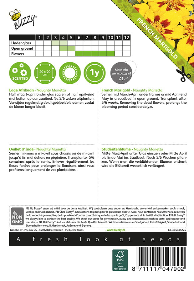 Ryhmä­samettikukka Naughty Marietta siemenpussi takaa kylvöohjeilla