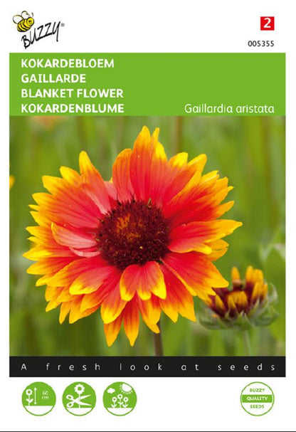 Syyssädekukka siemenpussi edestä – Buzzy® Blanket Flower