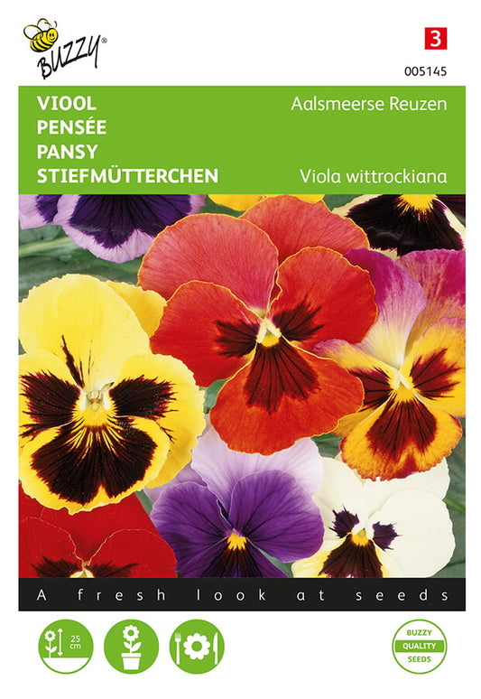 Tarhaorvokki Aalsmeer Giants Mixed siemenpussi edestä – Buzzy®