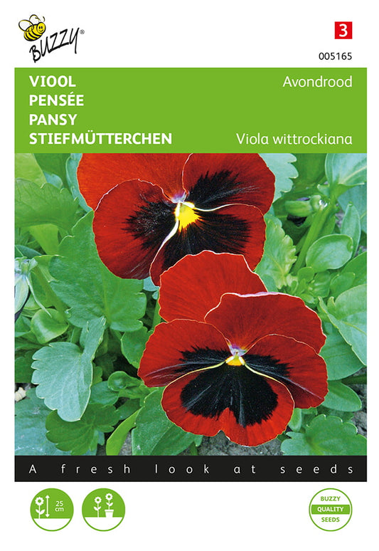 Tarhaorvokki Alpenglow siemenpussi edestä – Buzzy®