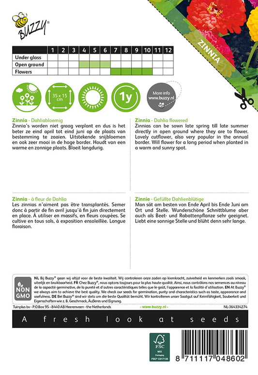 Tsinnia daaliakukkainen siemenpussi takaa kylvöohjeilla
