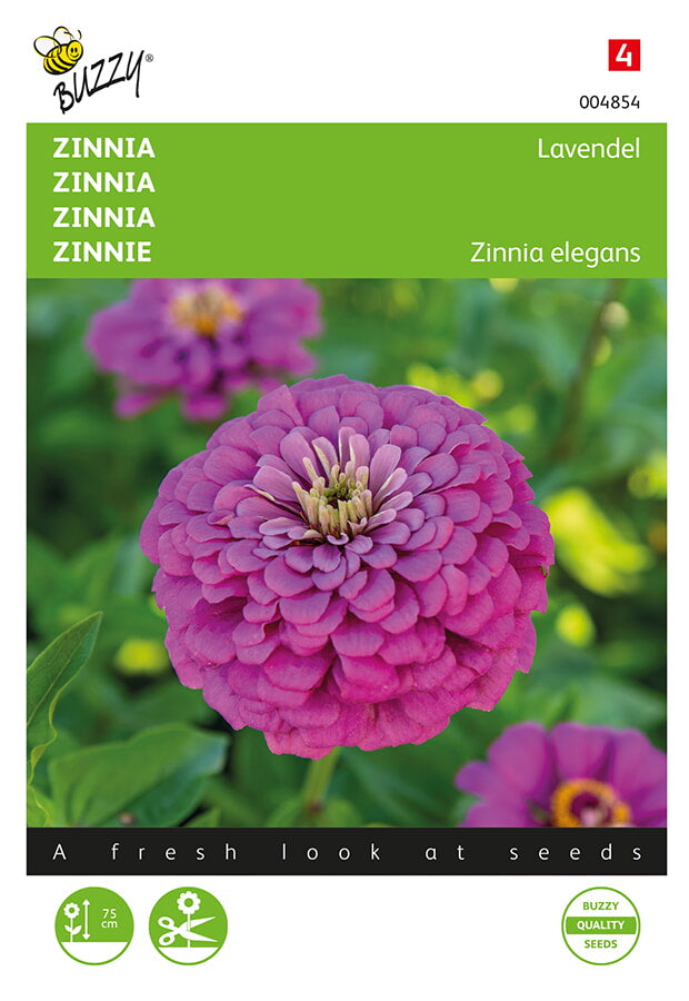 Tsinnia Lavender siemenpussi edestä – Buzzy®