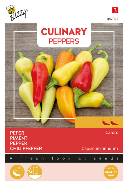 Caloro chili siemenet – Buzzy Culinary Peppers Caloro Capsicum annuum