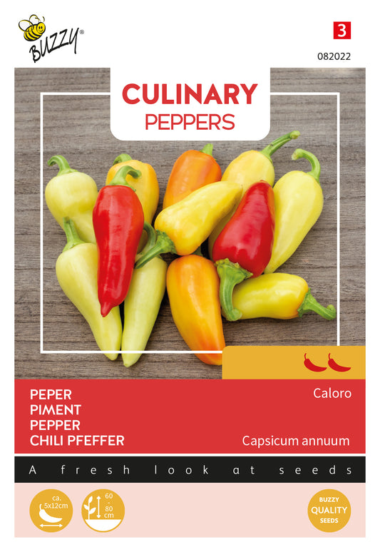 Caloro chili siemenet – Buzzy Culinary Peppers Caloro Capsicum annuum