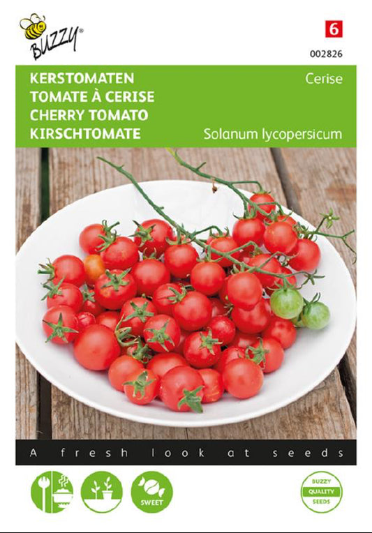 Cerise kirsikkatomaatti siemenet – Solanum lycopersicum