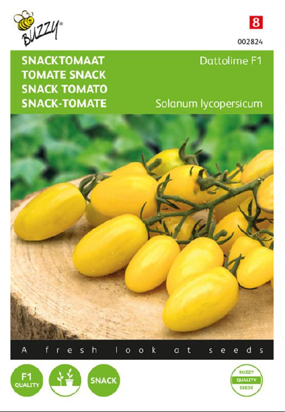 Dattolime F1 snacktomaatti siemenet – Solanum lycopersicum