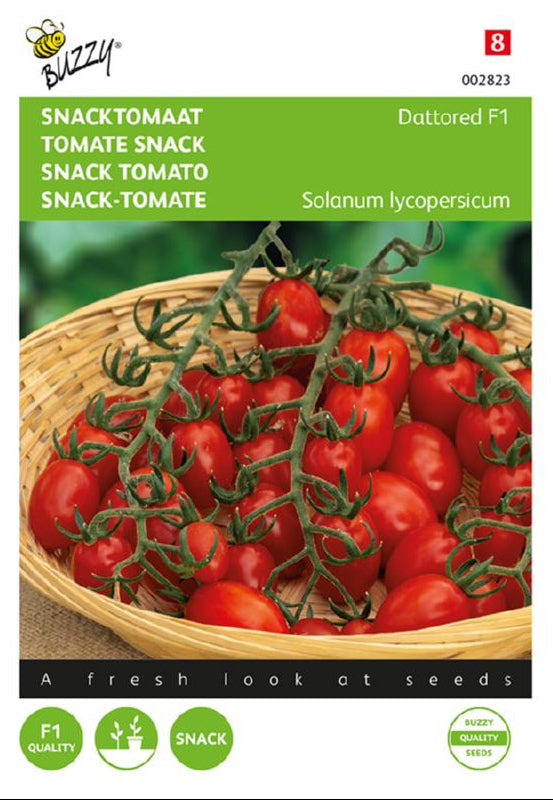 Dattored F1 snacktomaatti siemenet – Solanum lycopersicum