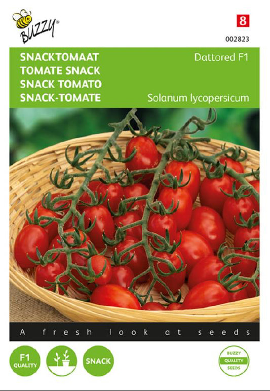 Dattored F1 snacktomat frön – Solanum lycopersicum