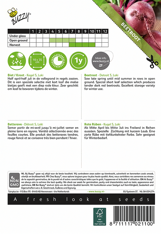 Back of the Buzzy® Detroit 5 Loki Beetroot (Beta vulgaris) seed packet with sowing and growing instructions.