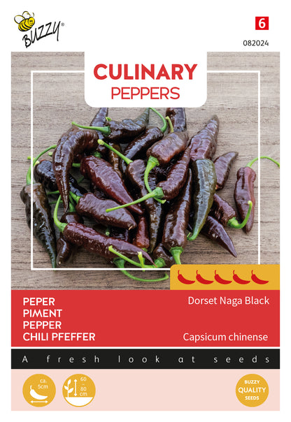 Dorset Naga Black chili siemenet – Buzzy Capsicum chinense