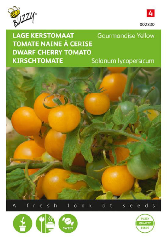 Gourmandise Yellow kääpiökirsikkatomaatti siemenet – Solanum lycopersicum