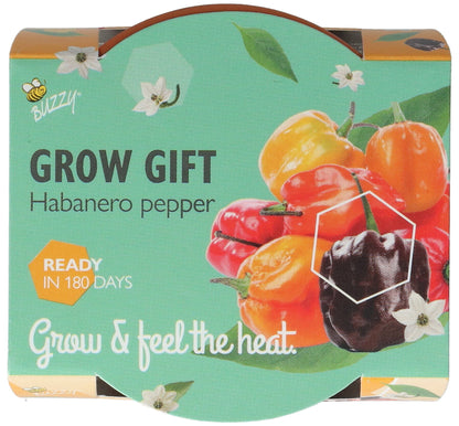 Habanero chili kasvatuslahjan pakkaus ylhäältä – Buzzy®