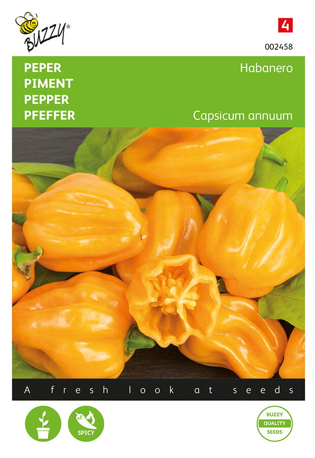 Habanero Orange chili siemenpussi Herbova