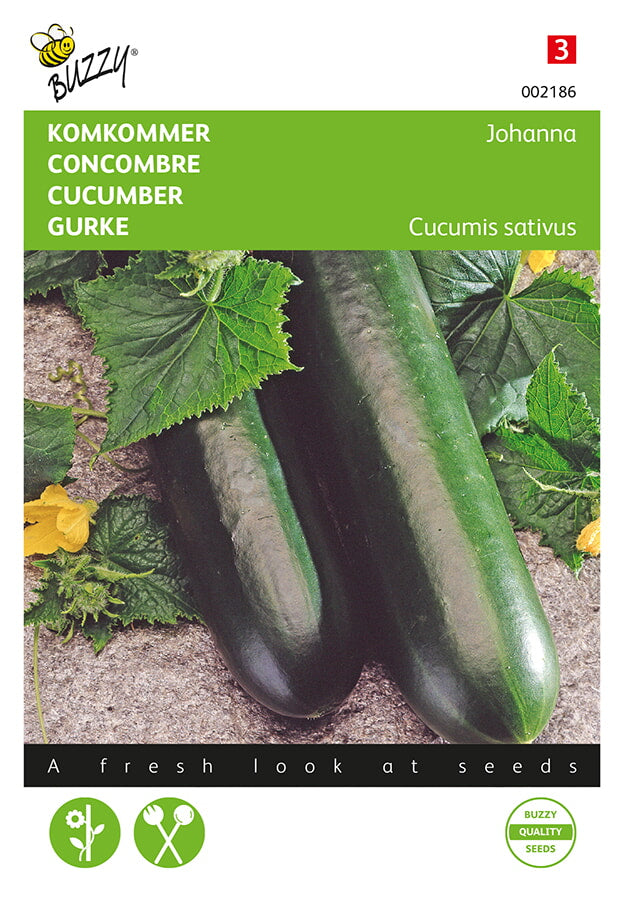 Siemenpussi, jossa Avomaankurkku ‘Johanna’ (Cucumis sativus). Kuvassa kurkkuja ja Buzzy®-brändi.