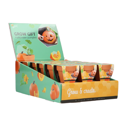 Kurpitsa kasvatuslahja display-telineessä viistosta – Buzzy®