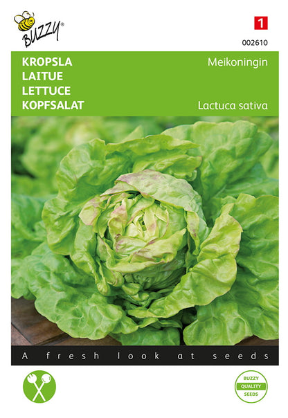 Keräsalaatti Maiking -siemenpussin etupuoli, jossa vihreä keräsalaatti kuvattuna.