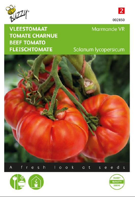 Marmande VR pihvitomaatti siemenet – Buzzy®