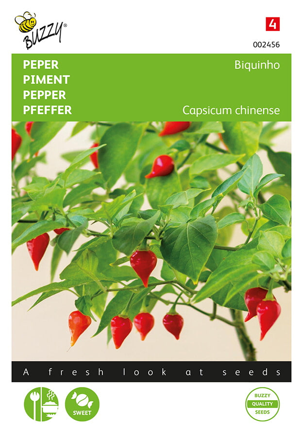 Pepper Biquinho chili siemenpussi Herbova