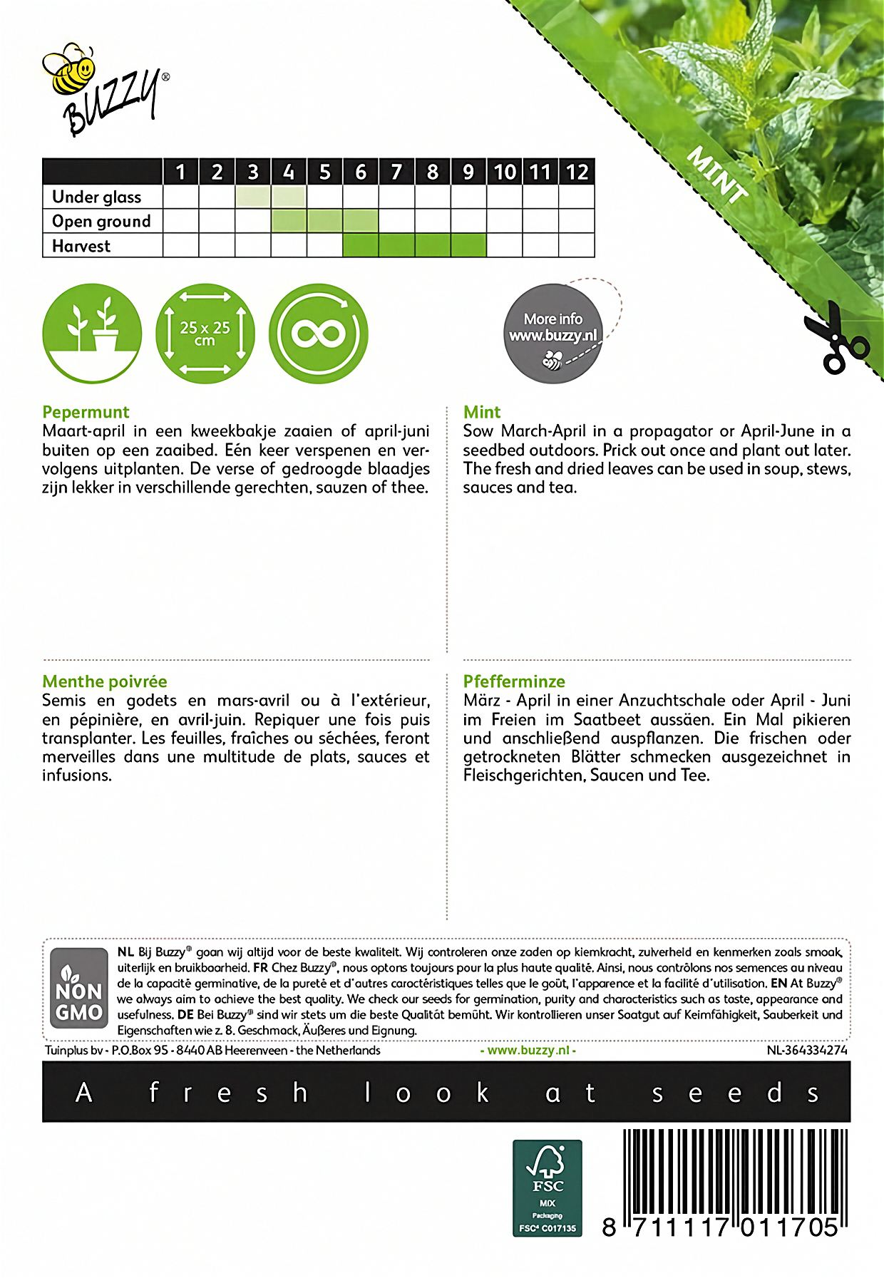 Back of the Buzzy® Peppermint (Mentha × piperita) seed packet with sowing and growing instructions.