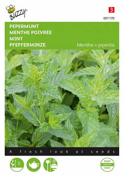 Front of the Buzzy® Peppermint (Mentha × piperita) seed packet.