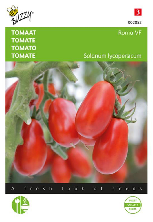 Roma VF tomat frön – Buzzy®